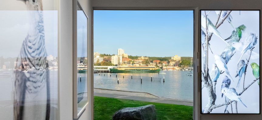 view of Manly Cove from MAG&M