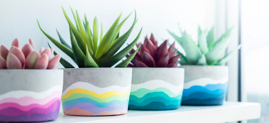 4 coloured pots displayed in a row with plants in the top