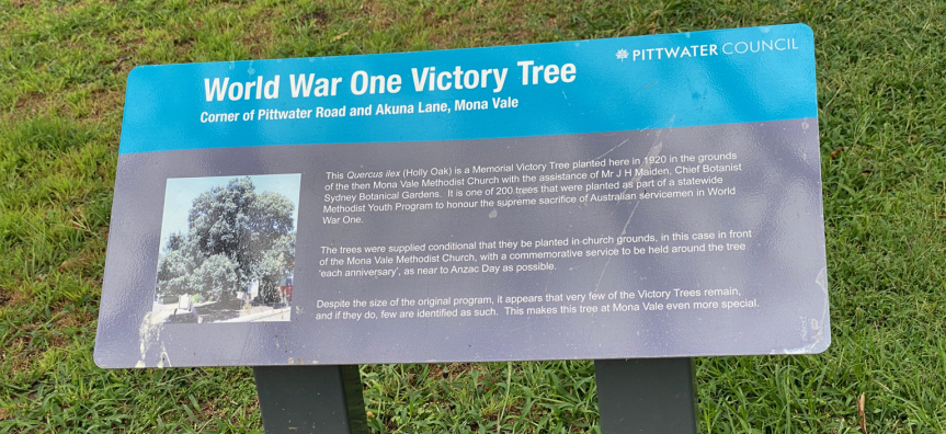 Plaque at Victory Tree Mona Vale