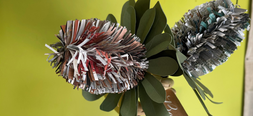 Paper banksia flower