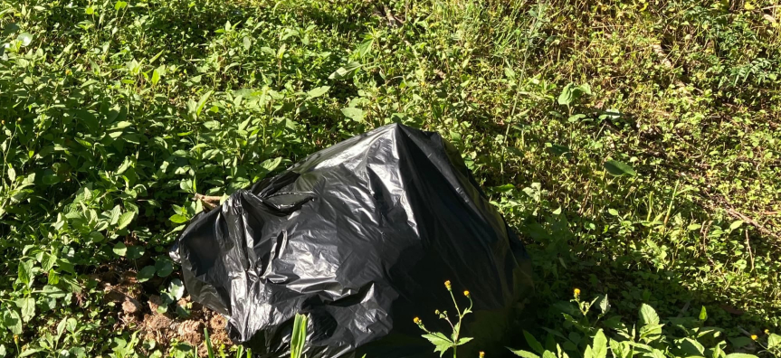 Rubbish in bush