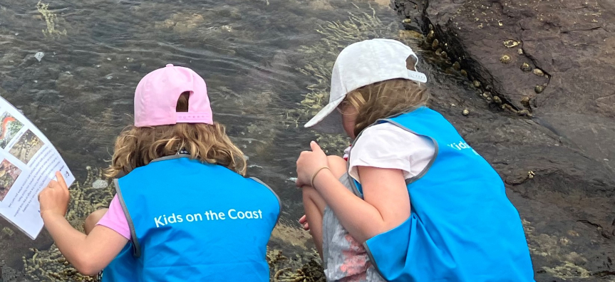 children exploring the rockpool