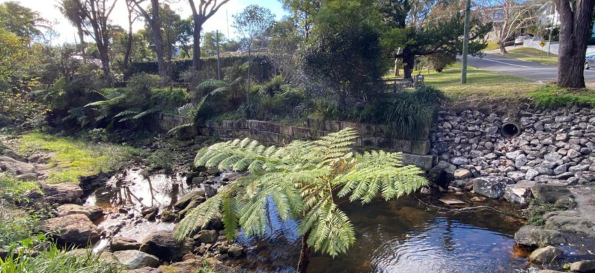 Before works were undertaken at Willandra Road, Cromer 