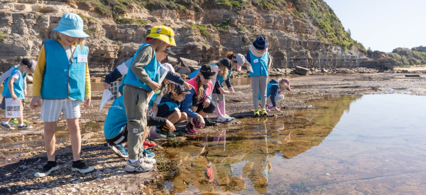 children exploring the rockpool