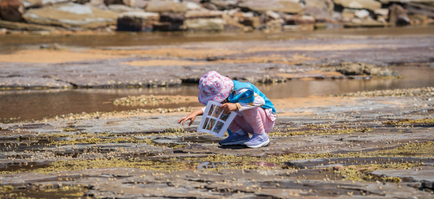 child exploring the rock pools