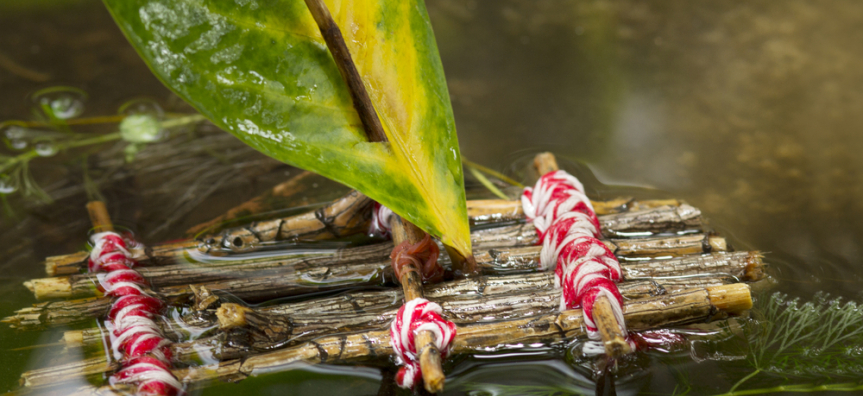 stick raft floating on water