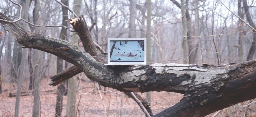 Ryota Sato, Showing Nature the wonders of Nature (video still), 2016