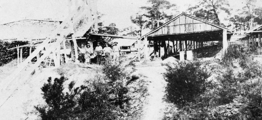 William Hews' brickworks in the early 1900s