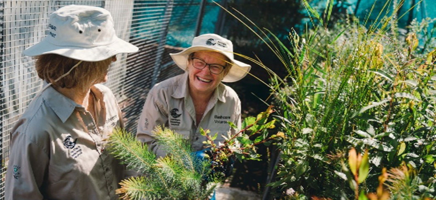 Bushcare volunteers and the nursery