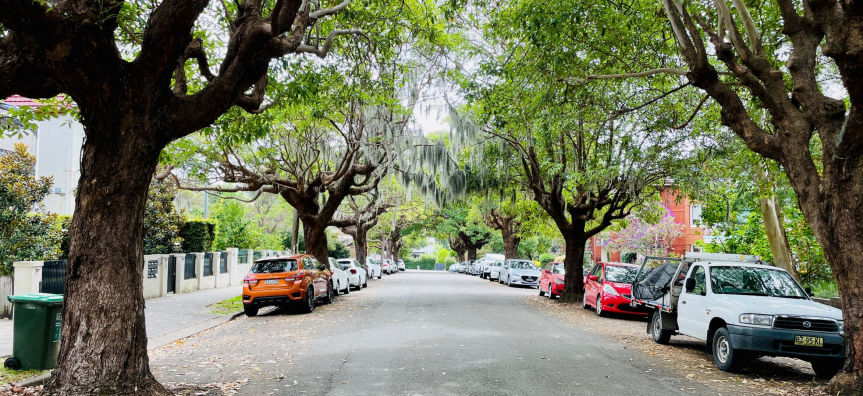 Cars parked on residential street