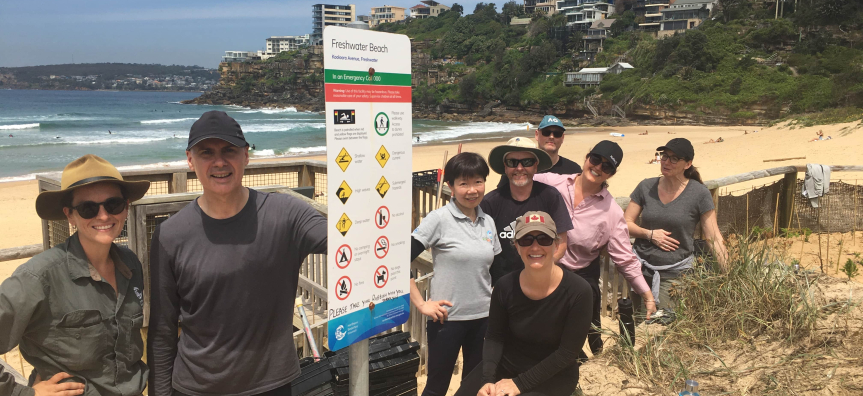Freshwater Beach sand dunes planting