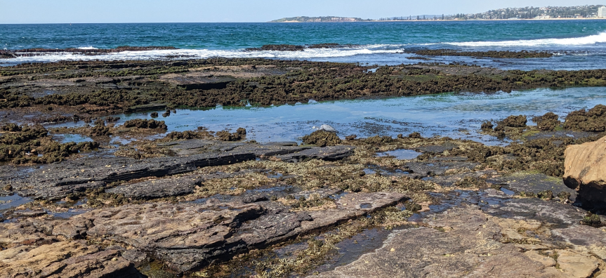 rock platform with ocean in the background
