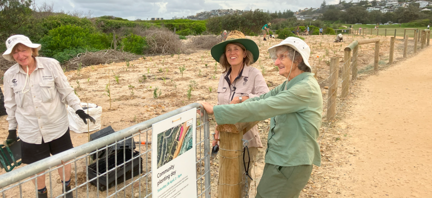 Tree planting Curl Curl lagoon