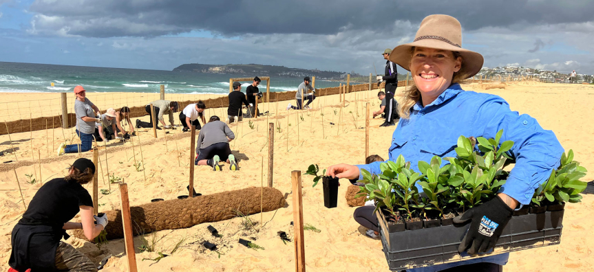 Volunteer helping to plan trees in Curl Curl dune