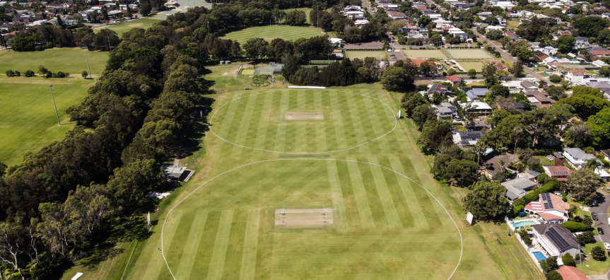 Frank Gray Oval