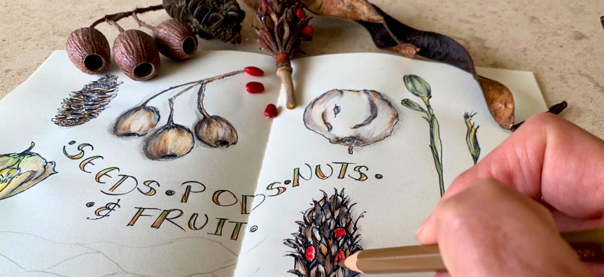 A hand drawing a flower with a pencil in a notebook