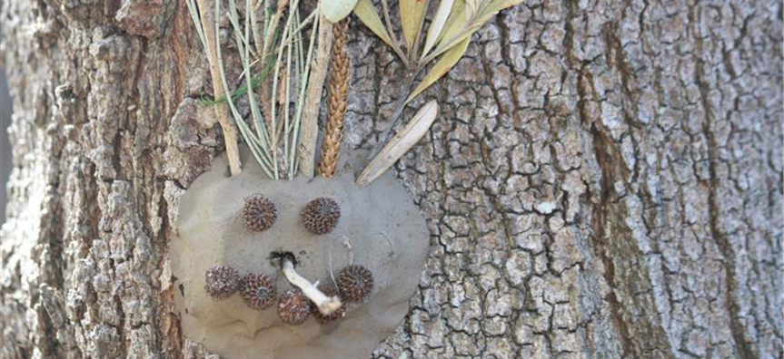 Creative placed on the tree