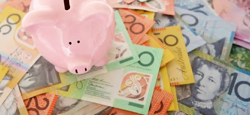 pig, moneybox, money