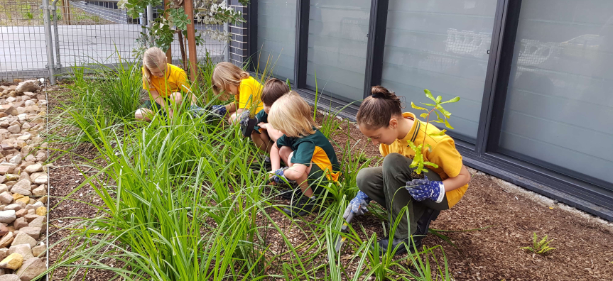 School children planting trees