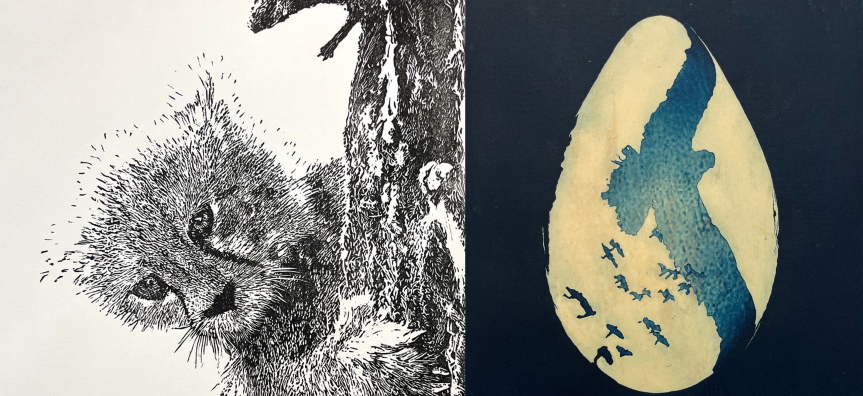 Warringah Printmakers