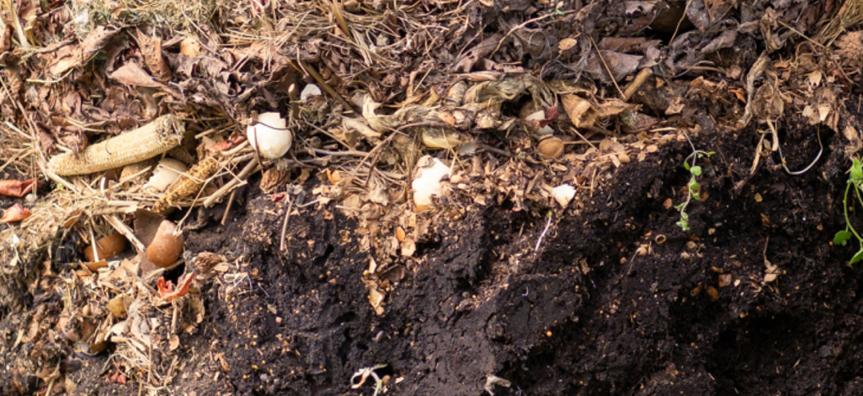 Composting