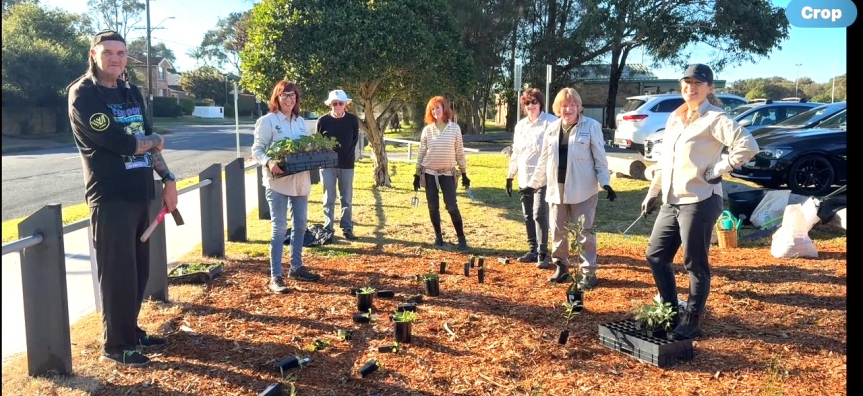 a group of volunteers on a wildflower site