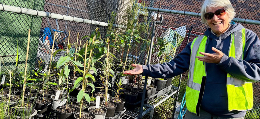 Janine Street Tree Planting