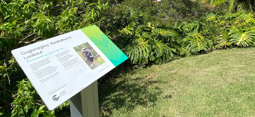 Scenic lookout named Gugganagiva Kookaburra Lookout, featuring an informational sign with a kookaburra image, surrounded by lush green foliage. In the background, a panoramic view of a coastal city with buildings, water bodies, and hills under a clear blue sky.