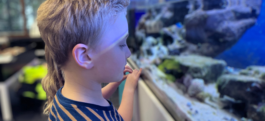Coastal Environment Centre new tank