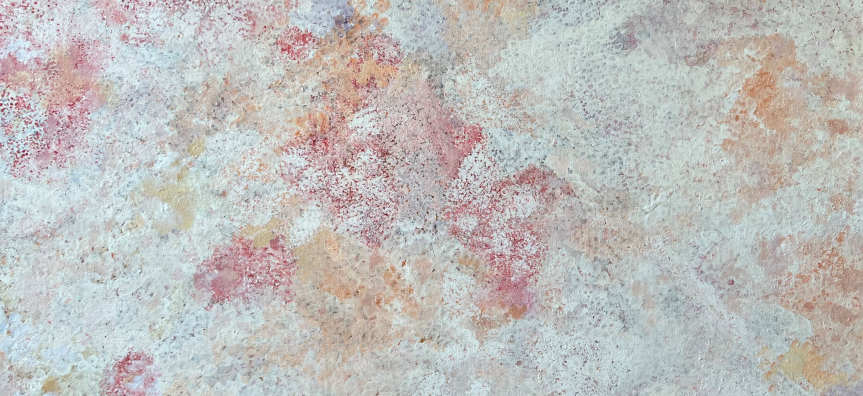 Bush Plum Country, 2010