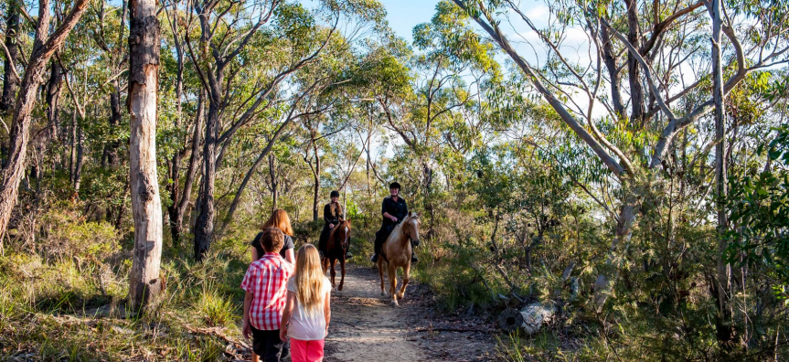 Anembo Walking Trail