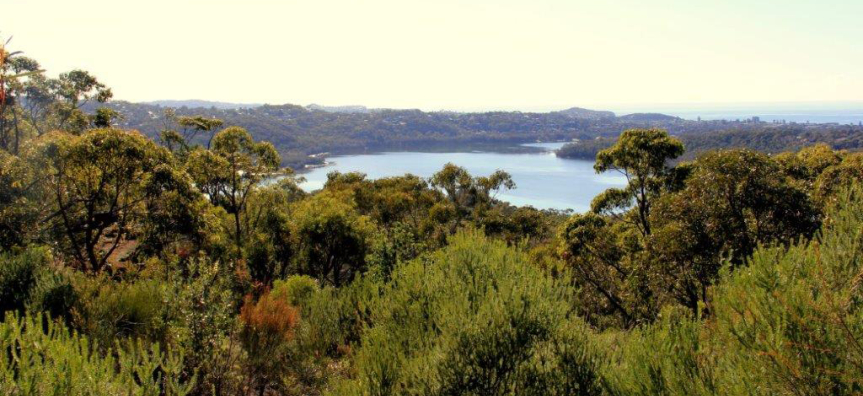 Manly Dam
