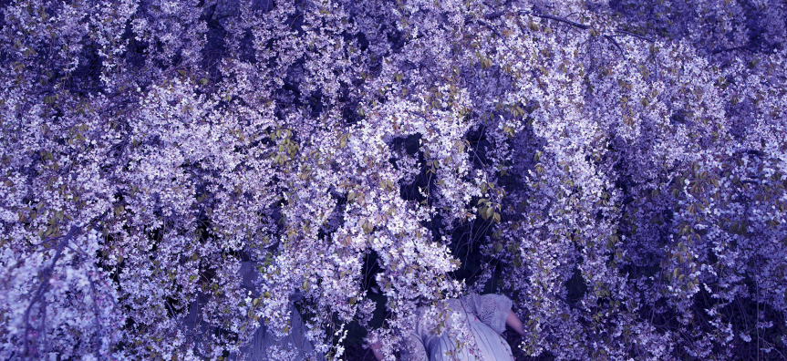 Tamara Dean, Follow me, 2022, from the series High jinks in the hydrangeas, pigment ink-jet print