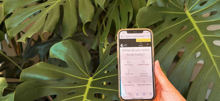 A person's hand holding a mobile phone open to the Council webpage while outside in front of a plant