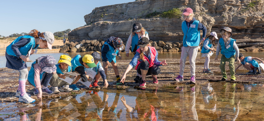 Kids looking in a rock pool