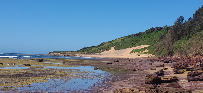Long Reef Aquatic Reserve