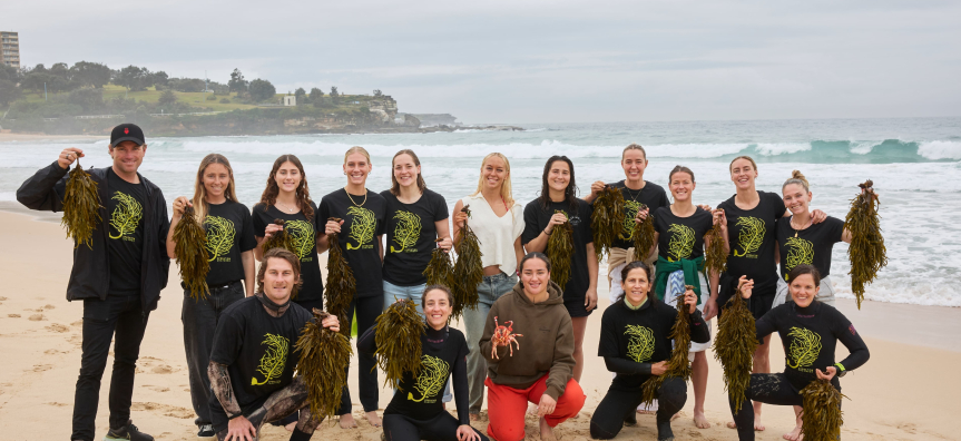 Operation Crayweed 2025