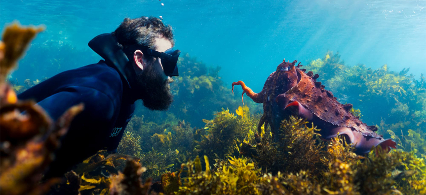 David Bellas - Reaching Out