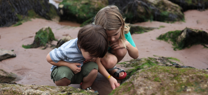 Kids looking at fossils