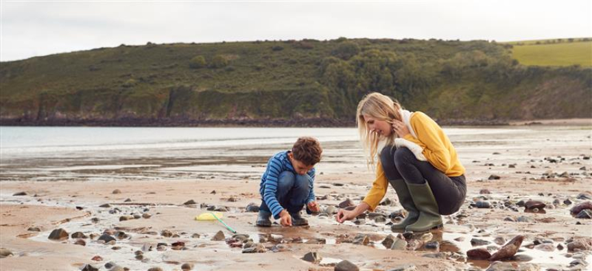 Family in rockpools
