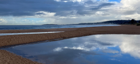 Narrabeen_Lagoon_berm_2.jpg