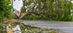 Storm damage