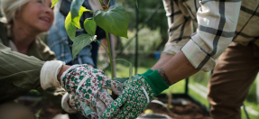 picture of two people in a community garden