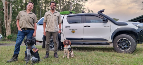 Detector dog handlers from Tate Animal Training Services 