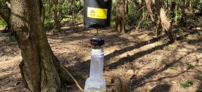 A mosquito trapping station