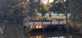 Ray Cox viewing platform