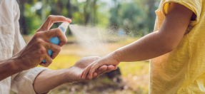 Spray insect repellant for protection against mosquitoes