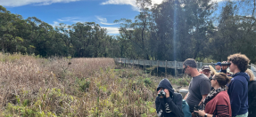 Bushwalkers look for birds in Warriewood