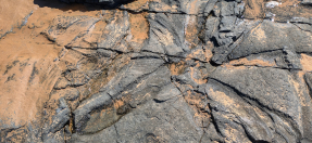 Rare Triassic fossils exposed at Turimetta Beach