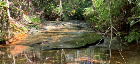 Upper section of South Creek, Beacon Hill